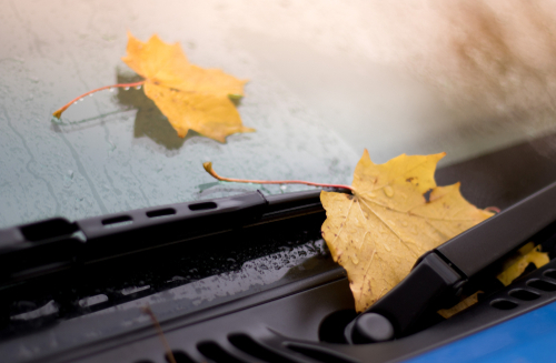 autumn windscreen changes